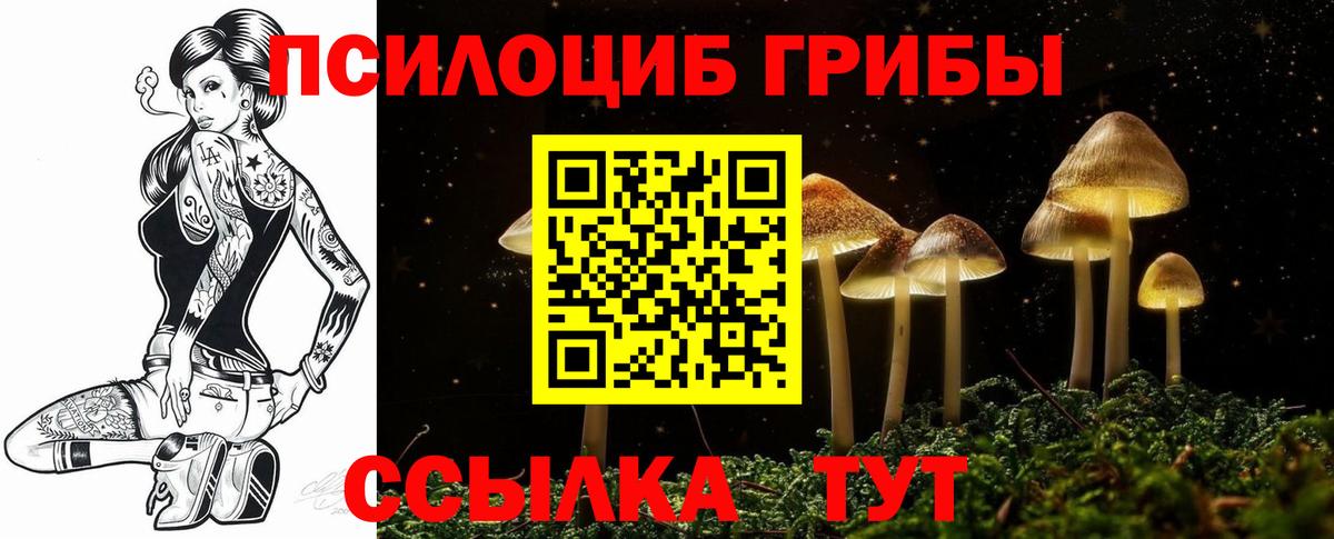 Псилоцибиновые грибы MAGIC MUSHROOMS Донской